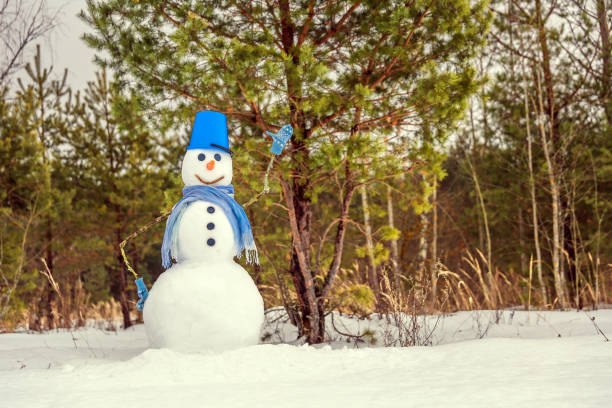 istock snowman wearing a bucket hat 1298425156