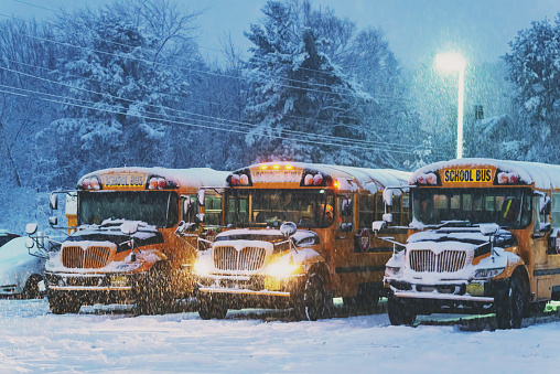 A trio of school buses are parked for the evening during snowstorm.