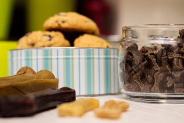 istock Dog treats and biscuits 1298427082