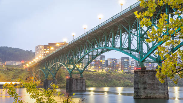 istock Green Steel Arch bridge during twilight 1298432423
