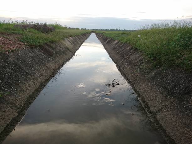 istock Cloud in canal near paddy field 1298433834