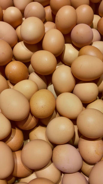 istock Free-Range Eggs bulk on the market close view 1298434013