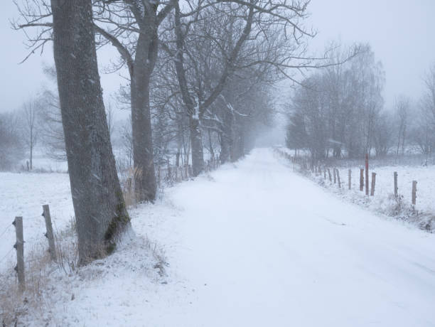 istock Dangerous mountain asphalt road during heavy snowfall 1298434567