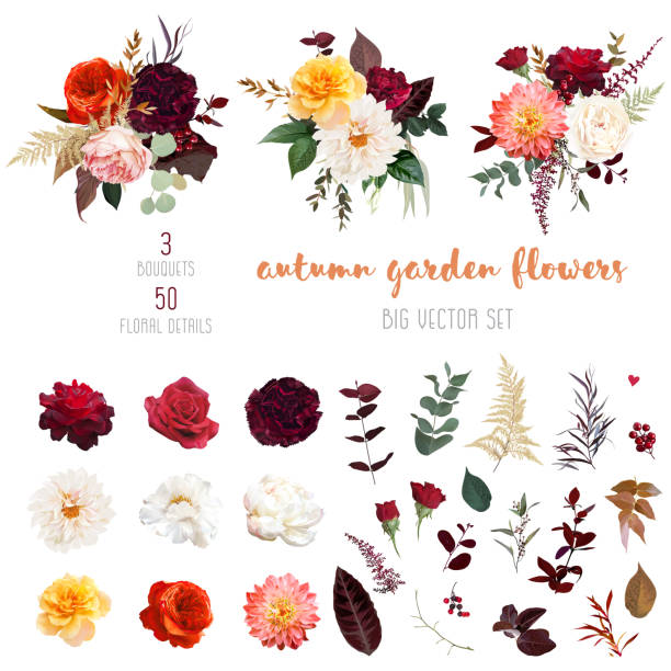 Autumn garden vector design big set Autumn garden vector design big set. Boho chic wedding. Warm fall and winter tones. Orange red, taupe, burgundy, brown, cream, gold, beige, sepia autumn colors. Rose flower, dahlia, peony ranunculus fall flower stock illustrations