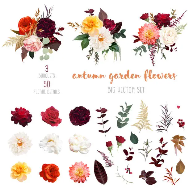 Vector illustration of Autumn garden vector design big set