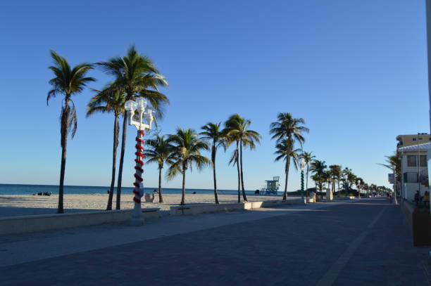 istock Hollywood beach fl during Christmas 1298437828