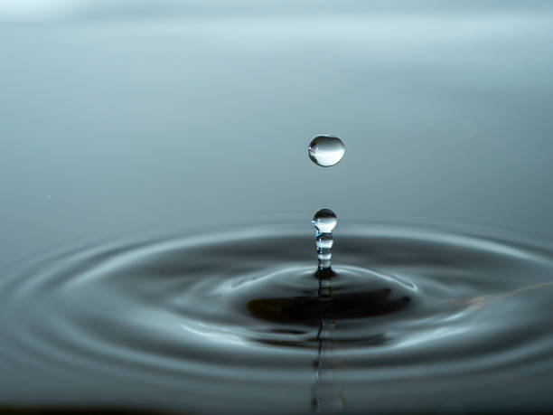 istock Splashing a drop of water into the aquarium 1298439346