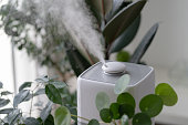 Close up of steam from air humidifier during heating period at home surrounded by houseplants