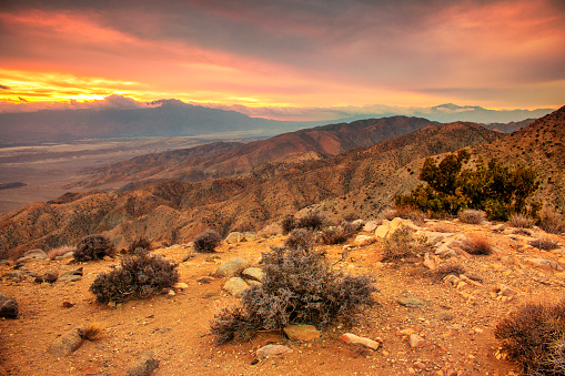 Late afternoon distant view looking west in the desert of Joshua Tree National Park, near Twentynine Palms, California