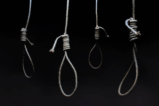 Dark scary hanging nooses on black background. stock photo