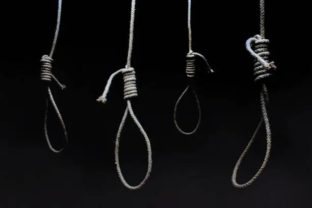 Photo of Dark scary hanging nooses on black background.