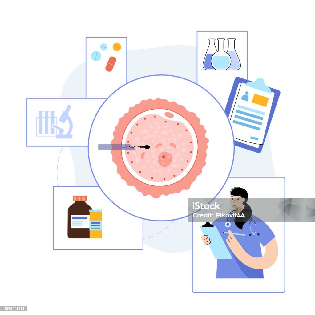 IVF ICSI technology In vitro fertilization concept. ICSI technology. Artificial insemination, embryology and pregnancy concept. Human egg cell icon. Doctor in lab. IVF medical poster flat vector illustration for clinic. Adult stock vector IVF ICSI technology In vitro fertilization concept. ICSI technology. Artificial insemination, embryology and pregnancy concept. Human egg cell icon. Doctor in lab. IVF medical poster flat vector illustration for clinic. Adult stock vector
