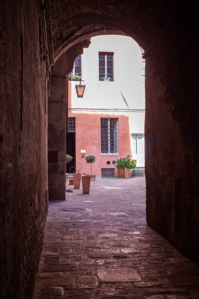 istock Siena, Tuscany, Italy - June 18, 2017: Walking in Sienna 1298451311