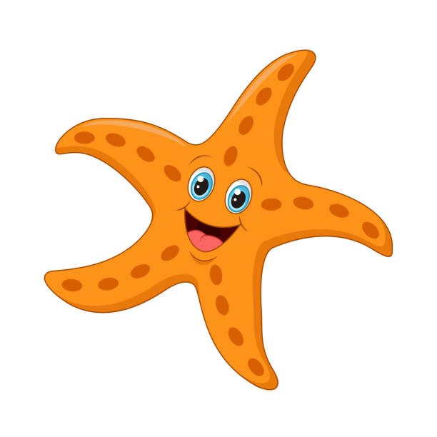 rozgwiazdy kreskówek na białym tle - shell starfish orange sea stock illustrations