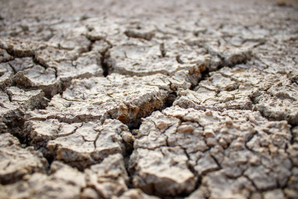 istock soils that dry and crack from thirst 1298457951