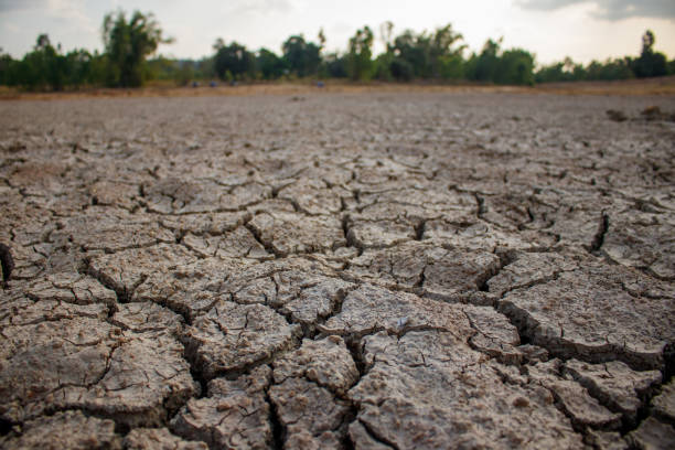 istock soils that dry and crack from thirst 1298458135
