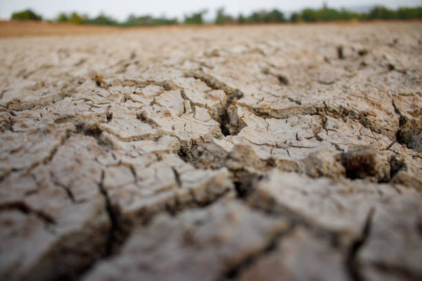 istock soils that dry and crack from thirst 1298458240