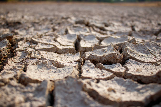 istock soils that dry and crack from thirst 1298458508