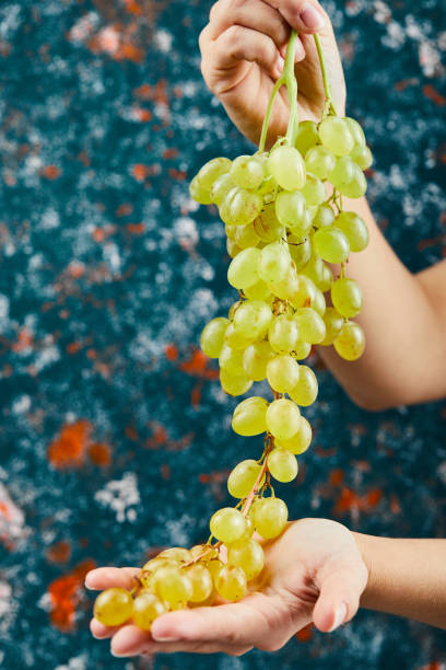 istock Man holding a bunch of green grapes 1298464940
