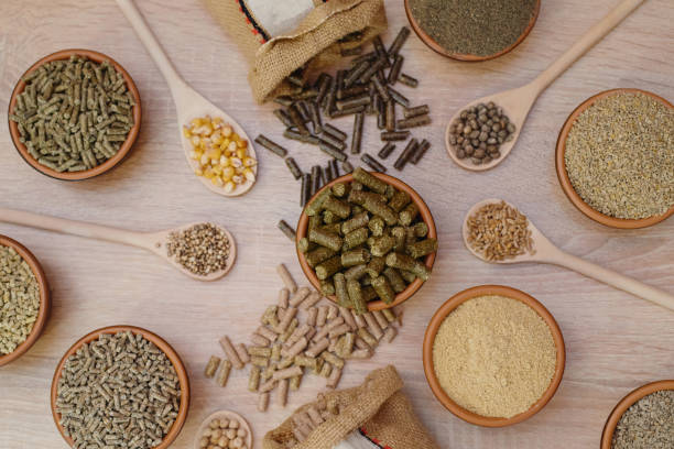 istock Different kinds of pelleted compound feed in bowls and spoons on wood table, copy space. Top view, flat lay 1298470142