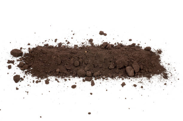 istock Heap of soil on a white background 1298470858