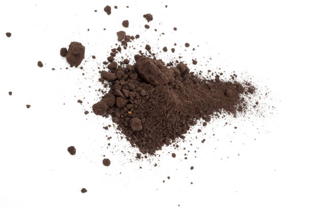 istock Heap of soil on a white background 1298471547
