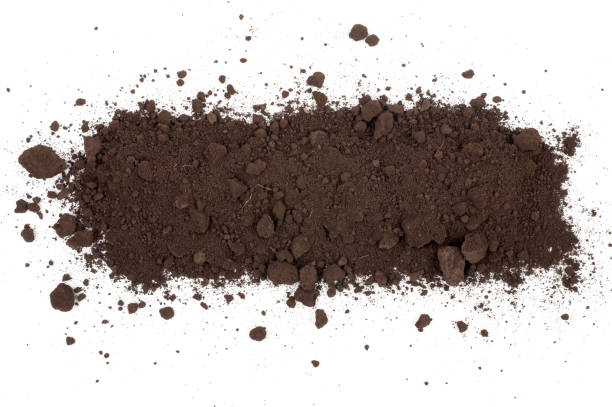 istock Heap of soil on a white background 1298471570