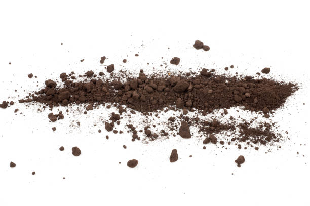 istock Heap of soil on a white background 1298471614