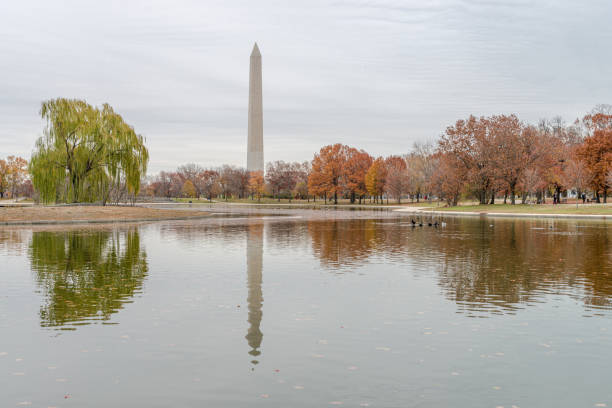istock Autumn Constitutional Gardens and Washington Monument 1298472444