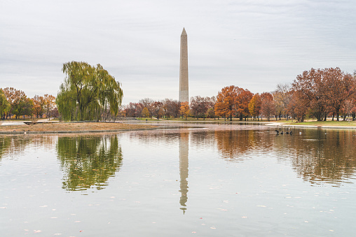 Autumn Constitutional Gardens and Washington Monument reflecting in a pond surface