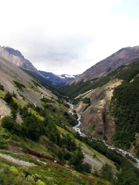 istock Mountains valley in Torres del Paine 1298478304