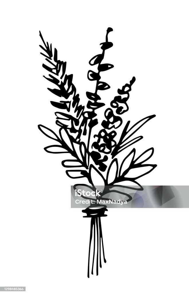 Ilustración de Dibujo Vectorial Dibujado A Mano En Contorno Negro Ramo De  Flores Secas Aislado Sobre Fondo Blanco Para El Diseño De Tarjetas De  Felicitación Vacaciones De Primavera 8 De Marzo Día