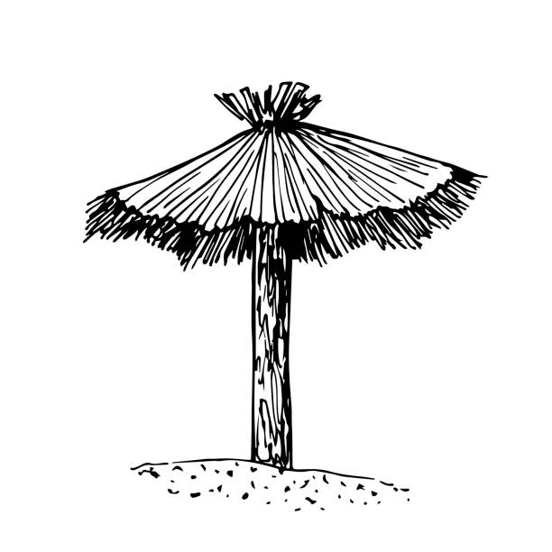 rysowanie wektorowe rysowane ręcznie w czarnym konturze. parasol emksowany, wakacje na plaży, turystyka. parasol słoneczny, tropikalna plaża. - thatched roof illustrations stock illustrations