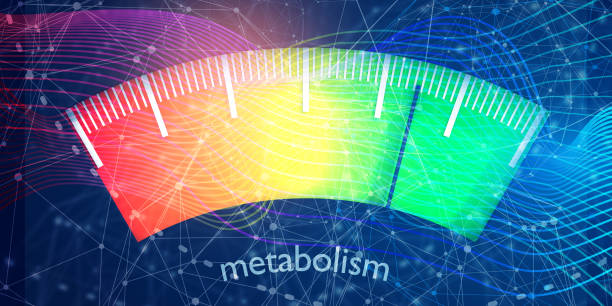 Ways to boost your metabolism naturally