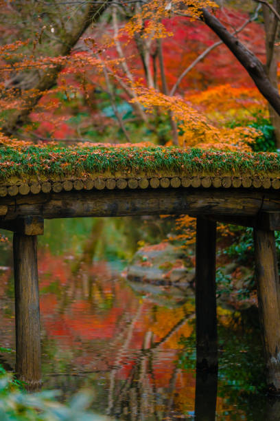 istock Rikugien park with autumn colors 1298506703