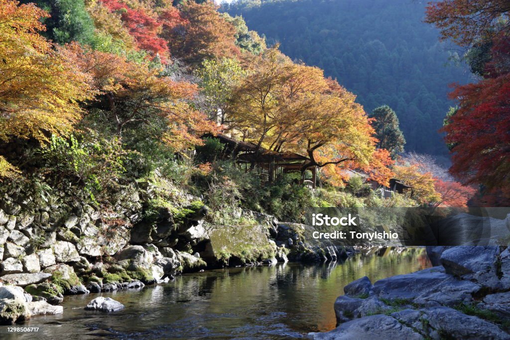 Kiyotaki in the Autumn Kiyotaki is a small valley of the Kiyotaki River in the northwest of Kyoto. It is the famous spot of colored leaves in autumn. Ancient Stock Photo