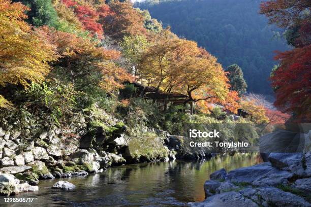 Kiyotaki In The Autumn Stock Photo - Download Image Now - Ancient, Autumn, Autumn Leaf Color