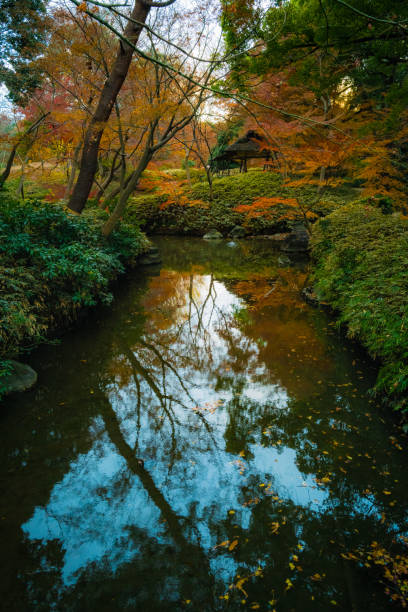 istock Rikugien park with autumn colors 1298506750