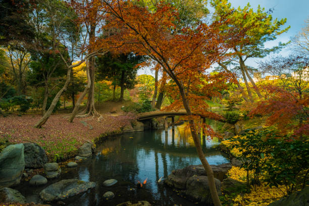 istock Rikugien park with autumn colors 1298507668