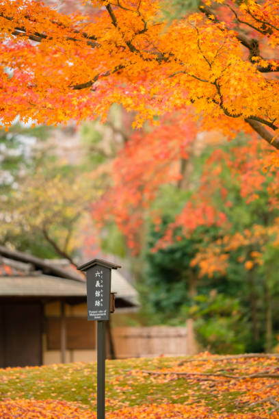 istock Rikugien park with autumn colors 1298508395