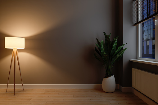 Habitación oscura vacía con sombra de lámpara, planta en maceta y suelo de parquet. En blanco Muro Mock Up. photo