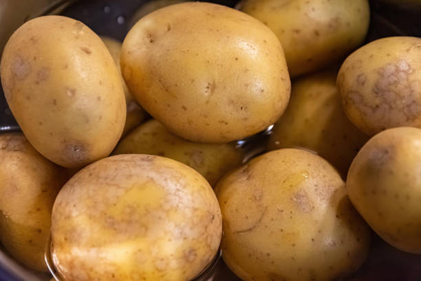 istock boiled potatoes in a pot 1298525088