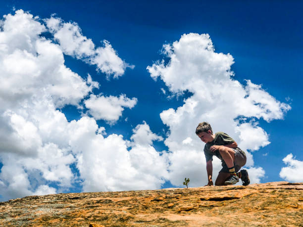 Low angle view of a young Caucasian Boy looking at a fragile plant growing in-between rocks struggling for survival beautiful cloud backdrop in the Cederberg Mountain Wilderness in summer South Africa.  He is caring and worried about and for the changing environment due to climate change.