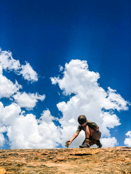 Low angle view of a young Caucasian Boy caring touching for a fragile plant growing in-between rocks struggling for survival beautiful cloud backdrop in the Cederberg Mountain Wilderness in summer South Africa.  He is caring and worried about and for the changing environment due to climate change.