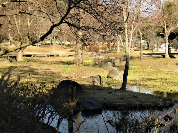 istock Japan. January. Small water stream in the park. 1298529388