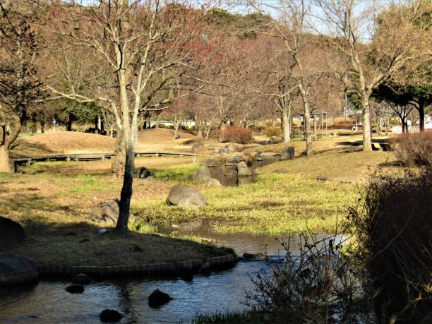 istock Japan. January. Small water stream in the park. 1298529392