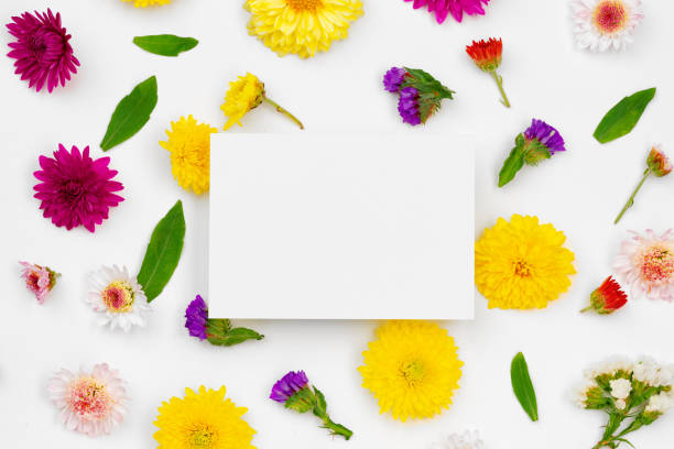 istock Blank paper with copy space and flower buds 1298537542