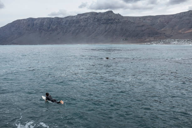 surfer im wasser auf lanzarote - surfing surf wave extreme sports stock-fotos und bilder