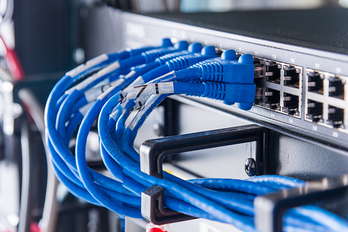 blue patch cables connected to ethernet ports of the switch