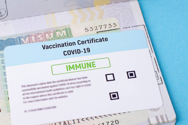 istock Vaccination certificate and visa in international passport 1298546397